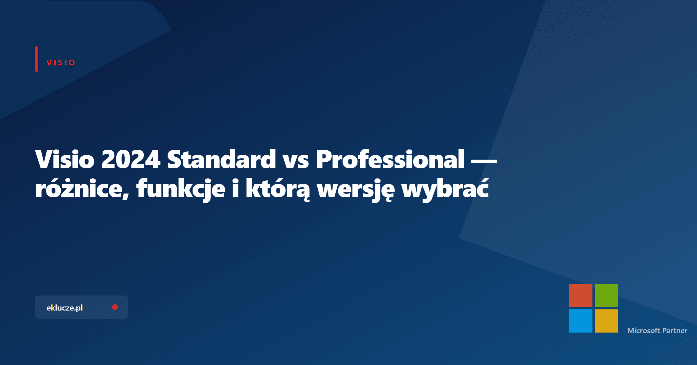 Visio 2024 Standard vs Professional — różnice, funkcje i którą wersję wybrać