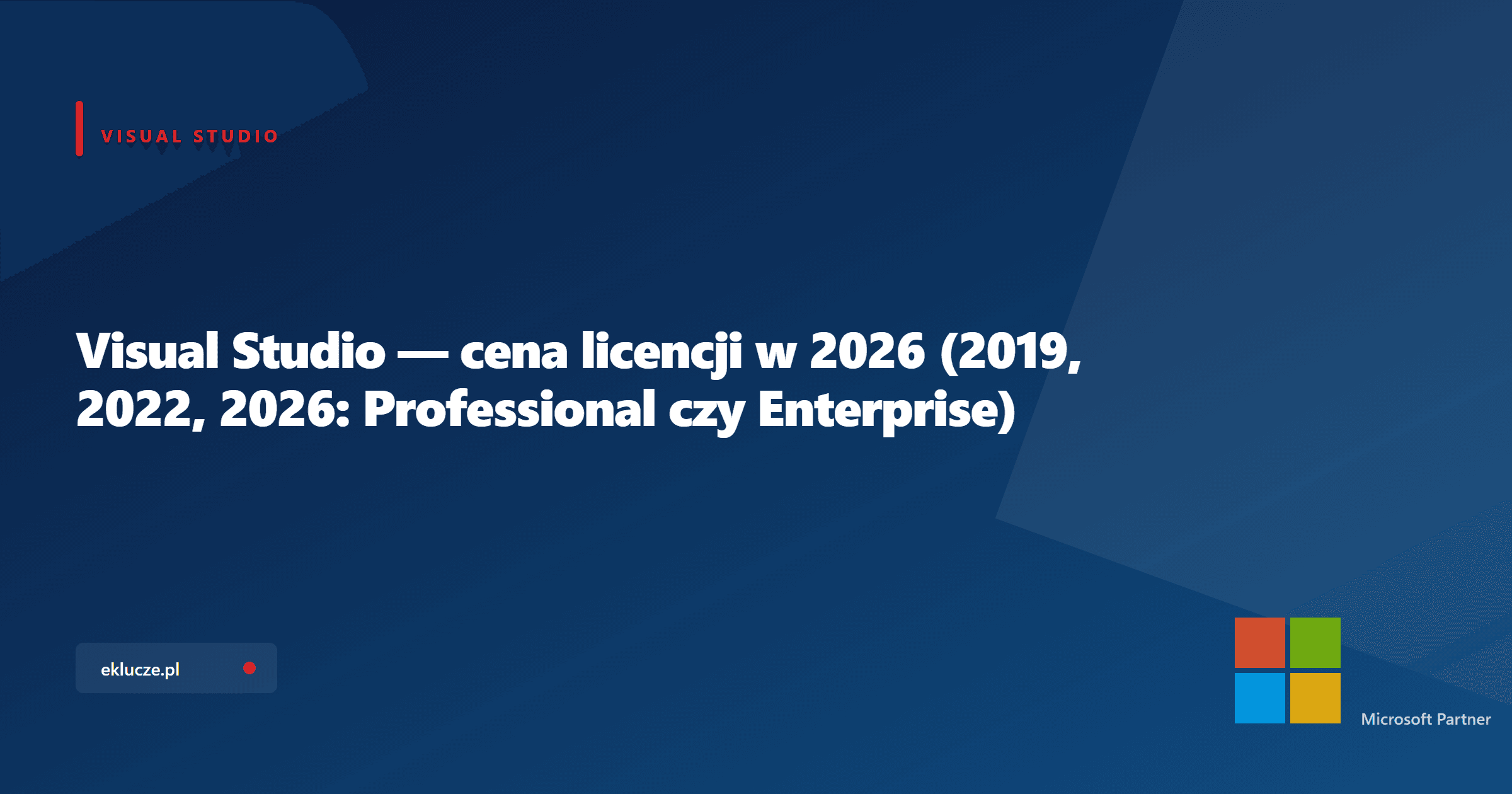 Visual Studio — cena licencji w 2026 (2019, 2022, 2026: Professional czy Enterprise)